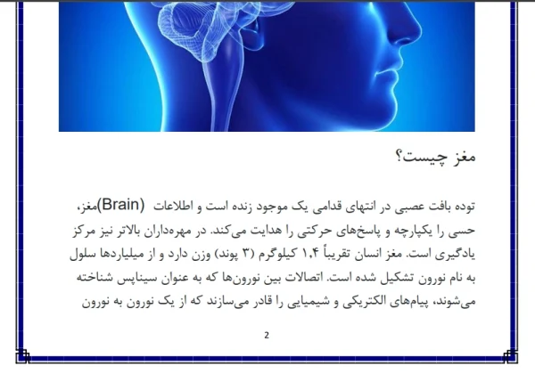 تحقیق در مورد مغز انسان 3